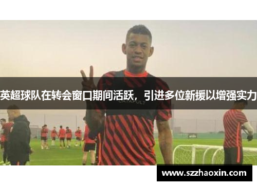 英超球队在转会窗口期间活跃，引进多位新援以增强实力