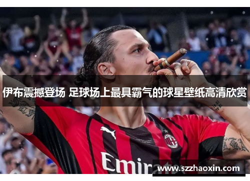 伊布震撼登场 足球场上最具霸气的球星壁纸高清欣赏