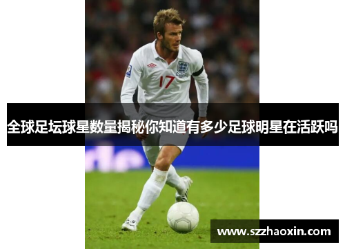 全球足坛球星数量揭秘你知道有多少足球明星在活跃吗