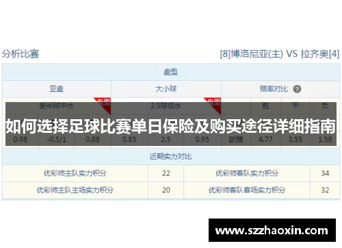 如何选择足球比赛单日保险及购买途径详细指南