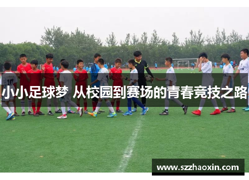 小小足球梦 从校园到赛场的青春竞技之路