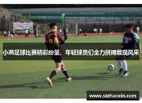 小燕足球比赛精彩纷呈，年轻球员们全力拼搏展现风采